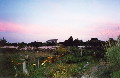 Beach Avenue, Amagansett