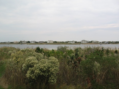Towns and Country Real Estate