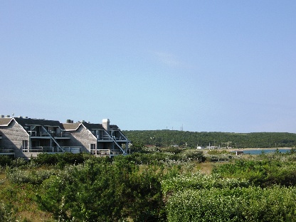 Towns and Country Real Estate