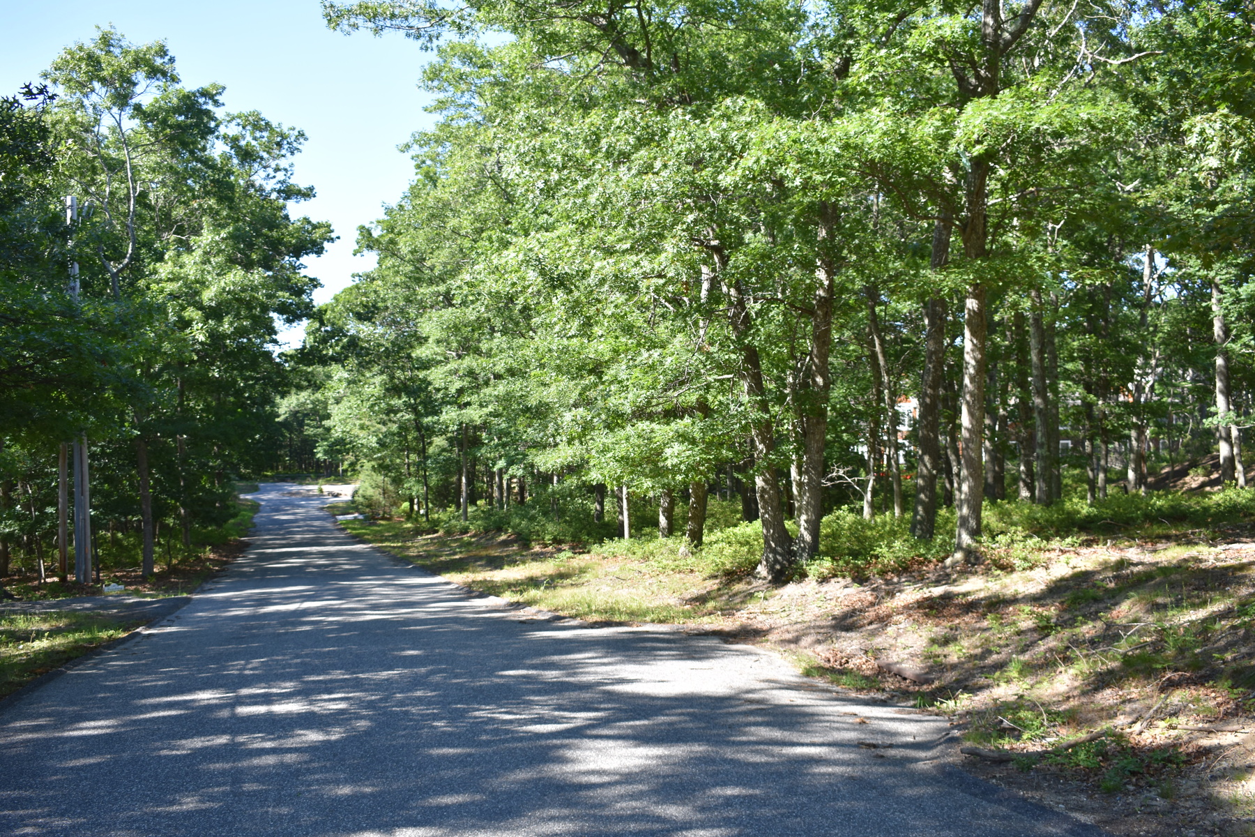 Towns and Country Real Estate