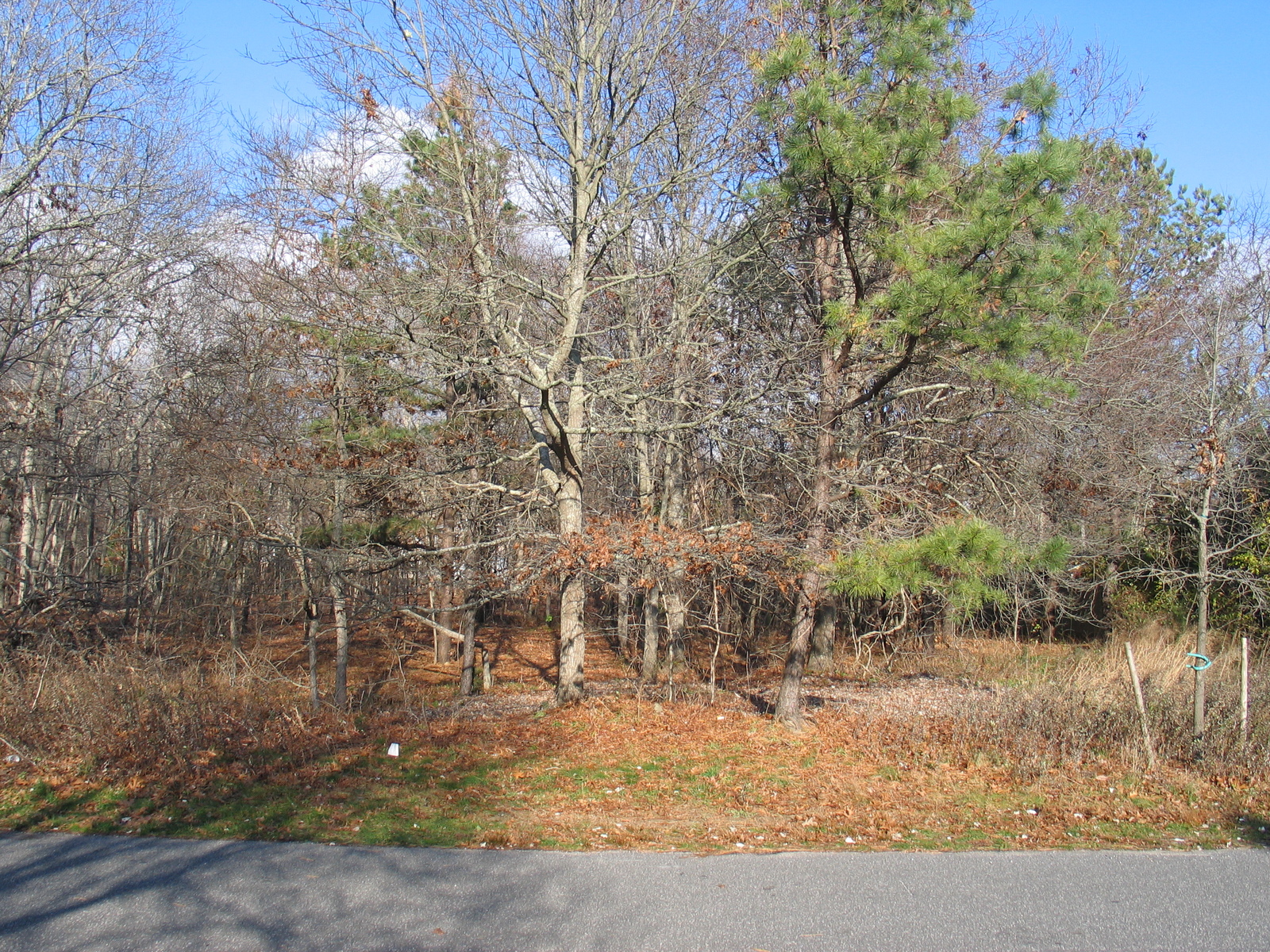 Towns and Country Real Estate