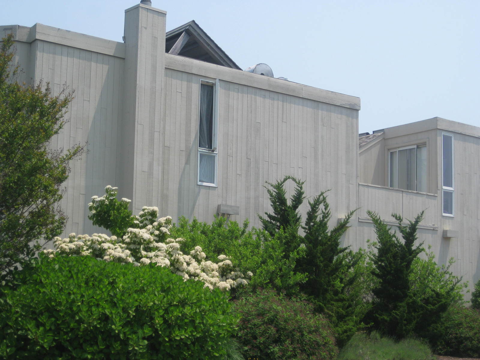 Towns and Country Real Estate