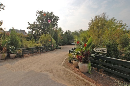 Towns and Country Real Estate