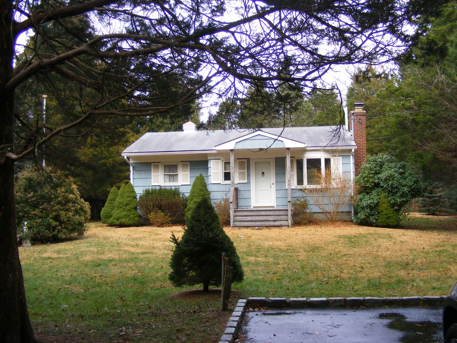 Towns and Country Real Estate
